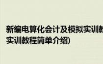 新编电算化会计及模拟实训教程(对于新编电算化会计及模拟实训教程简单介绍)