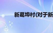 新葛埠村(对于新葛埠村简单介绍)