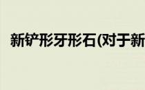 新铲形牙形石(对于新铲形牙形石简单介绍)