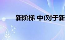 新阶梯 中(对于新阶梯 中简单介绍)