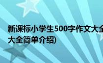 新课标小学生500字作文大全(对于新课标小学生500字作文大全简单介绍)