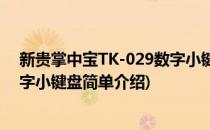 新贵掌中宝TK-029数字小键盘(对于新贵掌中宝TK-029数字小键盘简单介绍)