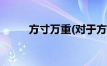 方寸万重(对于方寸万重简单介绍)