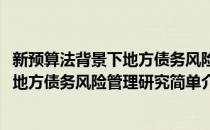新预算法背景下地方债务风险管理研究(对于新预算法背景下地方债务风险管理研究简单介绍)