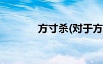 方寸杀(对于方寸杀简单介绍)