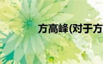 方高峰(对于方高峰简单介绍)
