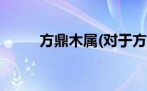 方鼎木属(对于方鼎木属简单介绍)