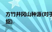方竹井冈山种源(对于方竹井冈山种源简单介绍)