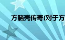 方脑壳传奇(对于方脑壳传奇简单介绍)