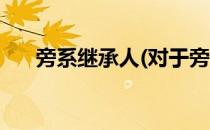 旁系继承人(对于旁系继承人简单介绍)