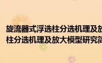 旋流器式浮选柱分选机理及放大模型研究(对于旋流器式浮选柱分选机理及放大模型研究简单介绍)