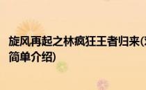 旋风再起之林疯狂王者归来(对于旋风再起之林疯狂王者归来简单介绍)
