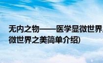 无内之物——医学显微世界之美(对于无内之物——医学显微世界之美简单介绍)