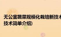 无公害蔬菜规模化栽培新技术(对于无公害蔬菜规模化栽培新技术简单介绍)