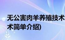 无公害肉羊养殖技术(对于无公害肉羊养殖技术简单介绍)