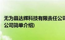 无为县达辉科技有限责任公司(对于无为县达辉科技有限责任公司简单介绍)