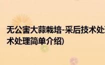 无公害大蒜栽培-采后技术处理(对于无公害大蒜栽培-采后技术处理简单介绍)