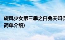 旋风少女第三季之白兔夫妇(对于旋风少女第三季之白兔夫妇简单介绍)