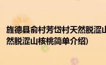 旌德县俞村芳岱村天然脱涩山核桃(对于旌德县俞村芳岱村天然脱涩山核桃简单介绍)