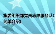 旗委组织部党员志愿服务队(对于旗委组织部党员志愿服务队简单介绍)