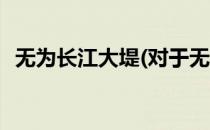无为长江大堤(对于无为长江大堤简单介绍)