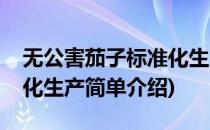 无公害茄子标准化生产(对于无公害茄子标准化生产简单介绍)