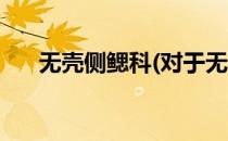 无壳侧鳃科(对于无壳侧鳃科简单介绍)