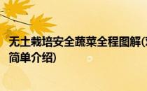 无土栽培安全蔬菜全程图解(对于无土栽培安全蔬菜全程图解简单介绍)