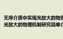 无序介质中实现光放大的物理机制研究(对于无序介质中实现光放大的物理机制研究简单介绍)