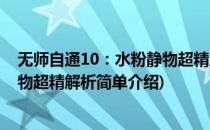 无师自通10：水粉静物超精解析(对于无师自通10：水粉静物超精解析简单介绍)