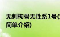 无刺枸骨无性系1号(对于无刺枸骨无性系1号简单介绍)