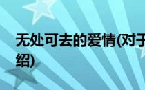 无处可去的爱情(对于无处可去的爱情简单介绍)