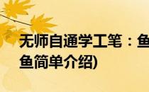 无师自通学工笔：鱼(对于无师自通学工笔：鱼简单介绍)