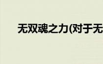 无双魂之力(对于无双魂之力简单介绍)