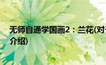 无师自通学国画2：兰花(对于无师自通学国画2：兰花简单介绍)
