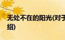 无处不在的阳光(对于无处不在的阳光简单介绍)