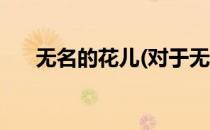 无名的花儿(对于无名的花儿简单介绍)