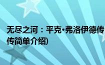 无尽之河：平克·弗洛伊德传(对于无尽之河：平克·弗洛伊德传简单介绍)