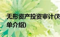 无形资产投资审计(对于无形资产投资审计简单介绍)