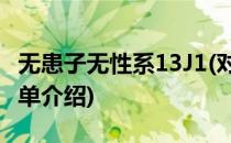 无患子无性系13J1(对于无患子无性系13J1简单介绍)