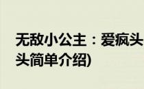 无敌小公主：爱疯头(对于无敌小公主：爱疯头简单介绍)