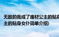 无敌的我成了废材公主的贴身女仆(对于无敌的我成了废材公主的贴身女仆简单介绍)