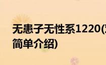 无患子无性系1220(对于无患子无性系1220简单介绍)