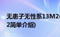 无患子无性系13M2(对于无患子无性系13M2简单介绍)