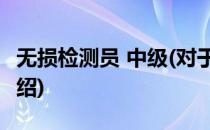 无损检测员 中级(对于无损检测员 中级简单介绍)