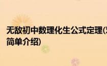无敌初中数理化生公式定理(对于无敌初中数理化生公式定理简单介绍)