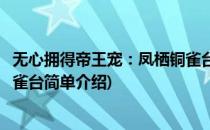 无心拥得帝王宠：凤栖铜雀台(对于无心拥得帝王宠：凤栖铜雀台简单介绍)