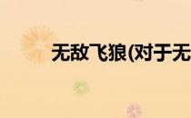 无敌飞狼(对于无敌飞狼简单介绍)