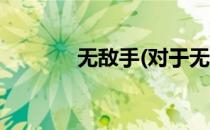无敌手(对于无敌手简单介绍)