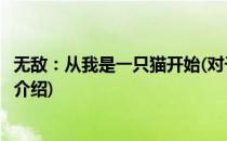 无敌：从我是一只猫开始(对于无敌：从我是一只猫开始简单介绍)
